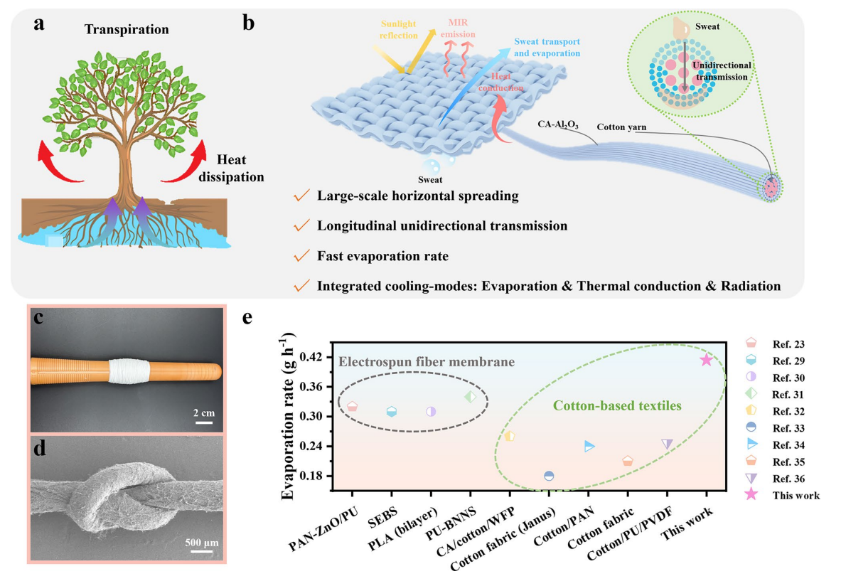 东华大学覃小红教授：核壳纱线编织超织物！集成自主汗水输送和辐射排汗冷却